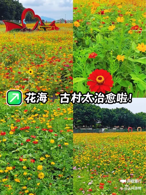 七彩花田生态园 - 佛山旅游