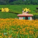 七彩花田生态园 - 佛山旅游 缩略图 3