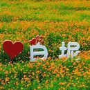 七彩花田生态园 - 佛山旅游 缩略图 4