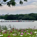 白云湖公园 - 岳阳市旅游 缩略图 8