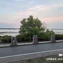 霞山观海长廊 - 湛江市旅游 缩略图 3