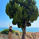小麦岛公园 - 青岛市旅游 缩略图 1