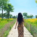 小麦岛公园 - 青岛市旅游 缩略图 4