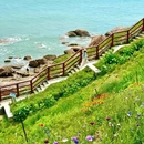 小麦岛公园 - 青岛市旅游 缩略图 7