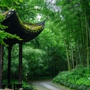 云栖竹径景区-云栖竹径碑亭 - 杭州市旅游 缩略图 3