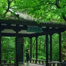 云栖竹径景区-云栖竹径碑亭 - 杭州市旅游 缩略图 5