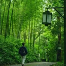 云栖竹径景区-云栖竹径碑亭 - 杭州市旅游 缩略图 8