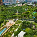 深圳湾公园 - 深圳市旅游 缩略图 8