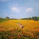 西樵山西门牌坊 - 佛山市旅游 缩略图 1