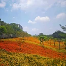 西樵山西门牌坊 - 佛山市旅游 缩略图 4