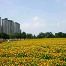 西樵山西门牌坊 - 佛山市旅游 缩略图 2
