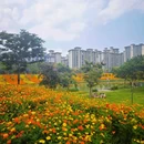 西樵山西门牌坊 - 佛山市旅游 缩略图 8