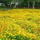 西樵山西门牌坊 - 佛山市旅游 缩略图 6