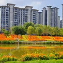 西樵山西门牌坊 - 佛山市旅游 缩略图 9