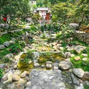 喜茶(长沙星沙华润万象汇店) - 长沙市旅游 缩略图 2