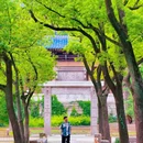 濮院时尚古镇 - 嘉兴市旅游 缩略图 7