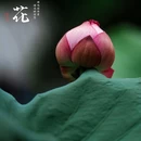 六榕寺 - 广州市旅游 缩略图 2