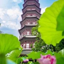 六榕寺 - 广州市旅游 缩略图 8