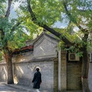 唐大慈恩寺遗址公园 - 西安市旅游 缩略图 2