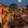 嘉兴市·乌镇古镇旅游区