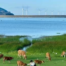 福建土楼云水谣旅游区 - 漳州市旅游 缩略图 1