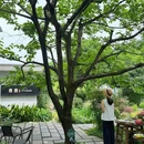 逸园.食居(岳麓山店) - 长沙市旅游 缩略图 7