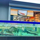 澜熙·堂民间院子 - 深圳市旅游 缩略图 4