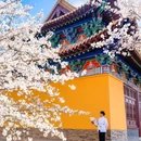 影视基地-三国水浒城 - 无锡市旅游 缩略图 2