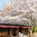 影视基地-三国水浒城 - 无锡市旅游 缩略图 7