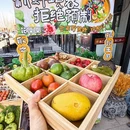花僳僳·云南蒸汽石锅鱼(亦花园店) - 北京市旅游 缩略图 7