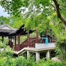 水上集市 - 嘉兴市旅游 缩略图 5