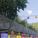 哈尔滨师大夜市 - 哈尔滨旅游 缩略图 4
