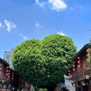 美喜酒店(福州三坊七巷南门兜地铁站店) - 福州市旅游 缩略图 9