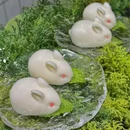花雕醉鸡(中南店) - 长沙市旅游 缩略图 7