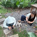 金香顿悦庭高空无边泳池全景花园酒店(西双版纳嘎洒国际机场店) - 西双版纳傣族自治州旅游 缩略图 5