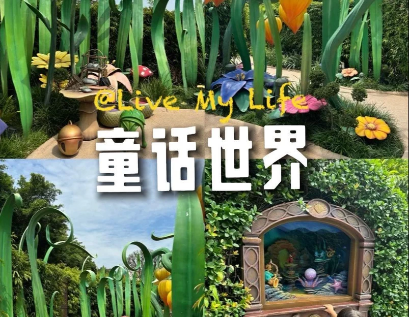 香港迪士尼乐园 - 香港特别行政区旅游 1