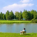 乐从镇城市建设和水利局-东北门 - 佛山市旅游 缩略图 2