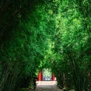成都·春熙里 - 长沙市旅游 缩略图 3