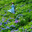 鹿野花塔 - 成都市旅游 缩略图 1