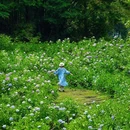 鹿野花塔 - 成都市旅游 缩略图 4