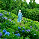 鹿野花塔 - 成都市旅游 缩略图 6