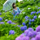 鹿野花塔 - 成都市旅游 缩略图 7
