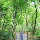 白云山风景名胜区-柯子岭门岗售票处 - 广州市旅游 缩略图 1