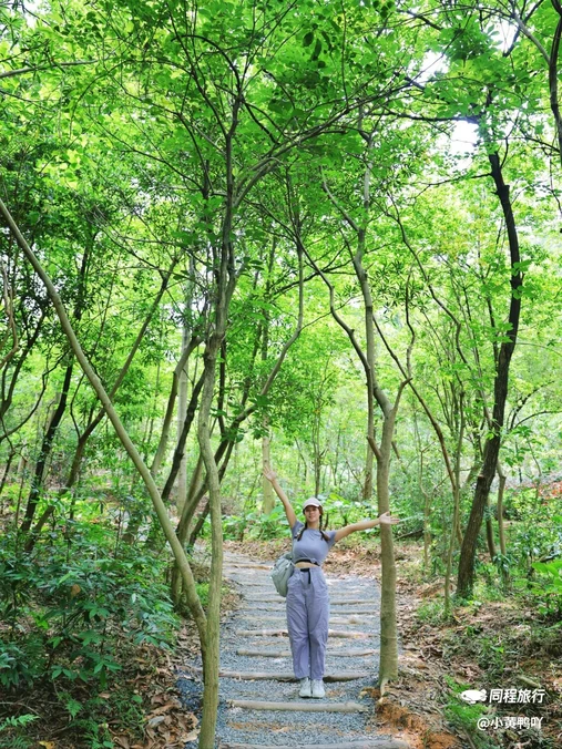 白云山风景名胜区-柯子岭门岗售票处 - 广州市旅游