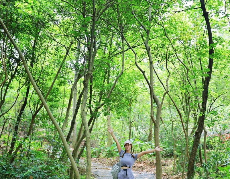 白云山风景名胜区-柯子岭门岗售票处 - 广州市旅游 1