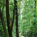 白云山风景名胜区-柯子岭门岗售票处 - 广州市旅游 缩略图 8