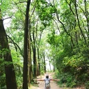 白云山风景名胜区-柯子岭门岗售票处 - 广州市旅游 缩略图 9