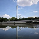 广州塔 - 广州市旅游 缩略图 8