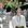 重庆市·罗汉寺