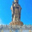 普陀山风景区 - 舟山旅游 缩略图 3